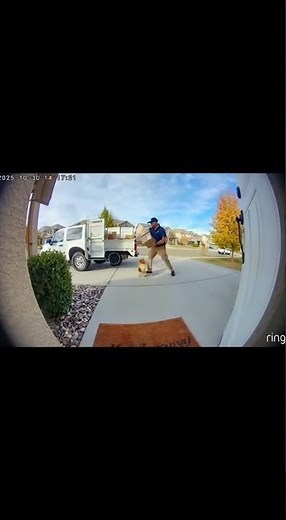Tiny Dog Terrorizes Delivery Driver!