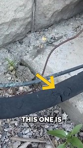 939K views · 4.6K reactions | Is your AC ready for summer? Find out! #HVAC #DIYHVAC #HomeImprovement #AirConditioning #HVACTips #ColderAir #HVACMaintenance | The DIY HVAC Guy | Facebook