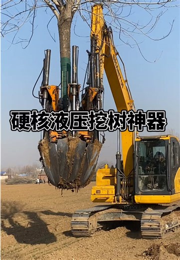 Efficient Tree Moving with Tree Spade Machines