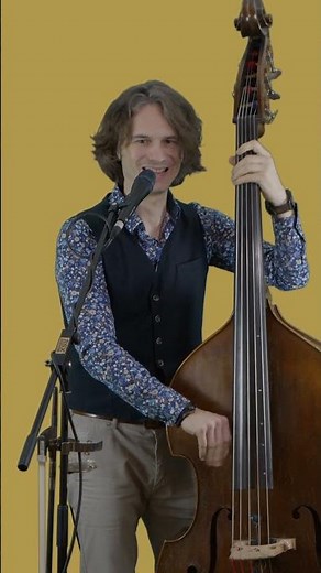 🎶 Walk on the Wild Side – Double Bass Cover (full version comin soon) 🎶