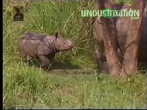 【VHS】卫视合家欢台（Star World）-WWF Interstitial（1996）