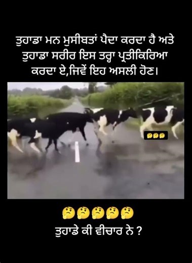 ਮਨ ਅਤੇ ਸਰੀਰ ਦੀ ਕਾਰਵਾਈ 🤔🤔 #viral #new #mindset #mind #reaction #body #react #life #example