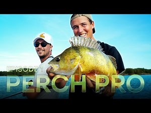 PERCH PRO 11 - Episode 1