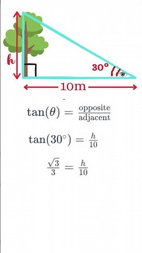 Measure Tree Height with Trigonometry's Tangent Function! 🌲📏 #Shorts