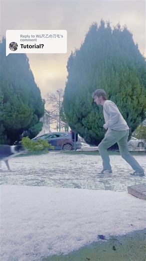 From Problem Pup to Einstein Dog! Engaging brain games for lasting behavior change. Learn More : https://en-braintrainingfordog.com/ | We Dog Trainer