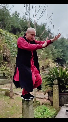 中国功夫十八般武艺每天更新 #martialarts #JackieChan #Chinese Kung Fu#kungfu