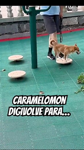 Caramelomon digivolves into…