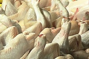 How to spot bird flu signs in raw chicken | ABS-CBN News