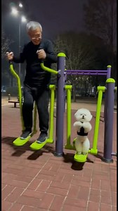 Such a cute exercise by little dog I love it #cat #dog #pets | Super Smart Pets