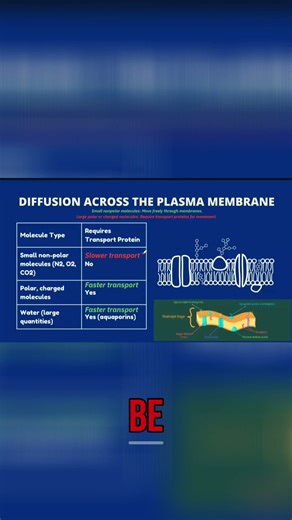 Gas Exchange: Why Air Travels Slowly Inside a Box #shorts