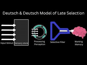 SELECTIVE ATTENTION THEORIES EXPLAINED - The Brain on Why We Listen to What We Want To