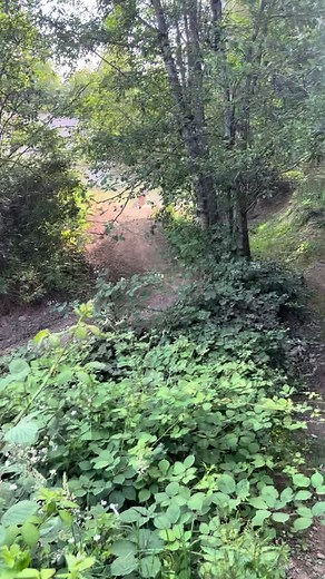 Carson Brown on TikTok