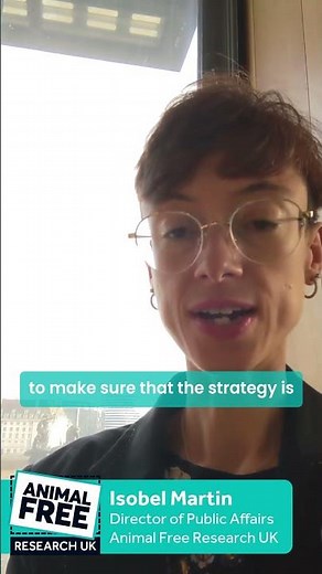 We're in Parliament talking about the Government's animal testing strategy