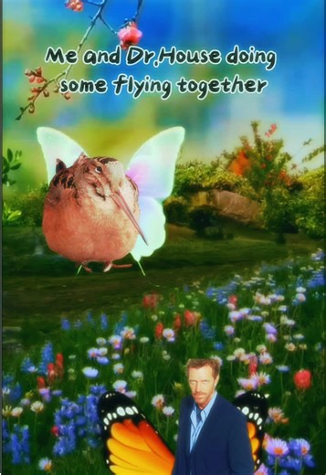 Meep #fyp #wtf #edit | meep