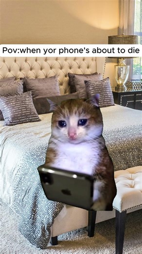 When Your Phone’s About to Die 🔋😨