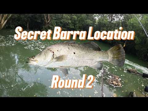 Secret Barra Spot “Greenies” Round 2 – Big Clean Up