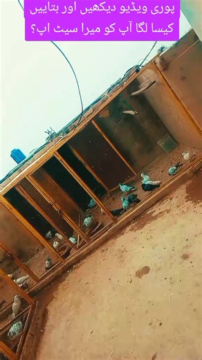 My Unique Setup for Video Creation