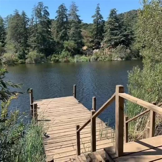 Discover Cabin 6 at Camp Half-Blood!