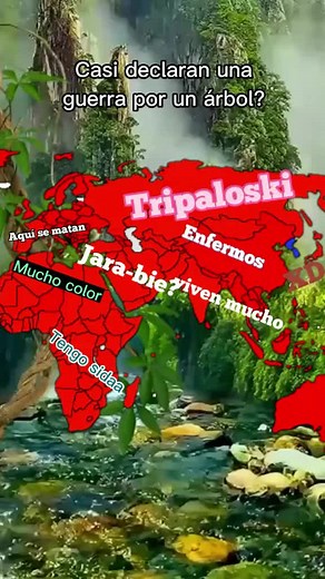 COREA, FINISH #corea #arbol #guerra #