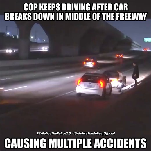 🚨 What part of protect and serve is this?