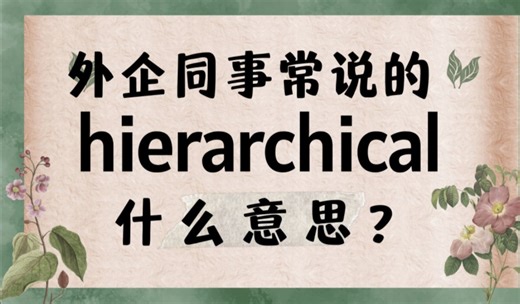 职场高频英语"hierarchical"什么意思？【商务英语学习】
