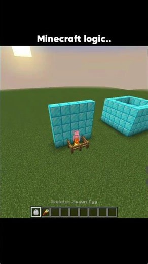 Minecraft Logic🤯