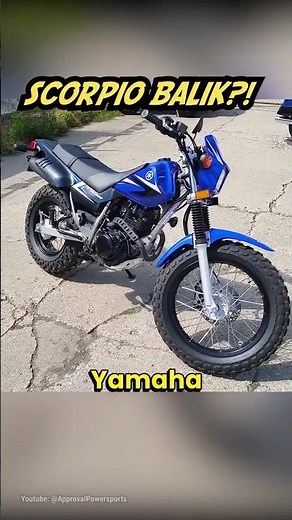 Yamaha TW200 = Scorpio Reborn?!
