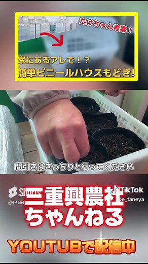 簡単DIY！100均で作るビニールハウス