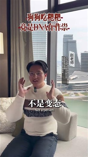 Teacher Zhao's Pet Trivia: Why Do Dogs Eat Poop? The Shocking Truth