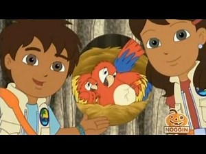 Go, Diego, Go! S01E09 The Mommy Macaw P2