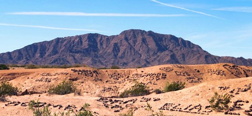 A desert covered in rock graffiti? Explore the Valley of the Names