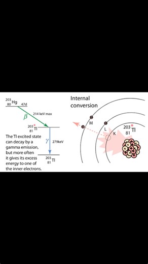 The electron capture | Physics, Mathematics and Chemistry Online Academy