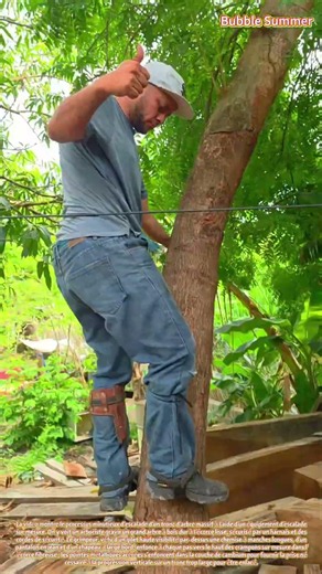 La précision en arboriculture : escalader un grand tronc à l'aide de crampons sur mesure