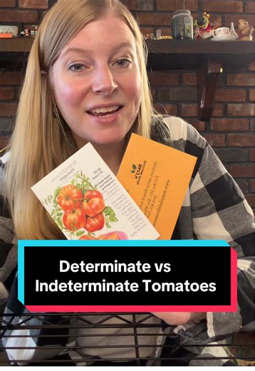 Determinate vs indeterminate tomatoes explained! 🌱 Determinate tomatoes grow to a set size and produce most of their fruit at once. 🌿 Indeterminate tomatoes keep growing and producing all season long. Knowing the difference helps you plan spacing, support, pruning, and harvest timing especially if you’re gardening in containers or small spaces. #gardeningforbeginners #tomatoplants #vegetablegarden #gardeningtips #backyardgarden