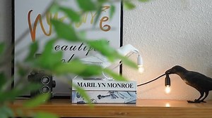 Watch Birds Table Lamps on Amazon Live