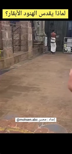 ‏البقرة في الثقافة الهندية ، #محسن #ترجمات_محسن #أخبار_محسن