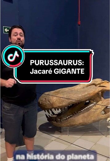 Descubra o Purussaurus, o Maior Jacaré da História