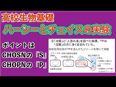 高校生物基礎「ハーシーとチェイスの実験」