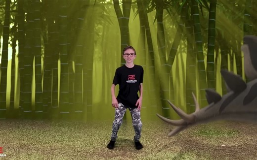 PEbowman恐龙岛（室内运动）