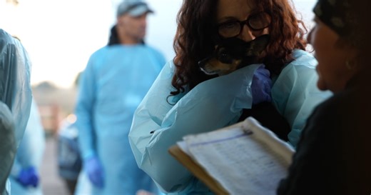 The National Mill Dog Rescue receives 52 dogs from out of state