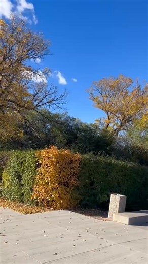 Discovering the natural charm of Regina 🌸 From parks to scenery, Saskatchewan's capital has it all!💕🌲🌹 #vacationmodeaging #fbreels2025 #letgrowtogether #LikeFollowShare #StarsEverywhere #contentcreators #followback | Avelina Paghasian Acas