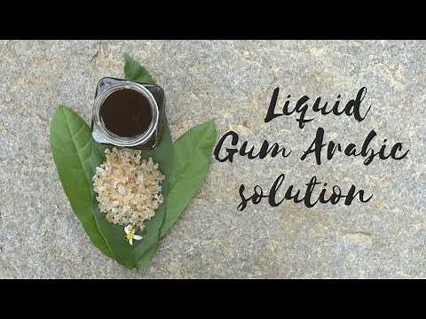 How to make Gum Arabic solution | natural binders | Vrutta farms