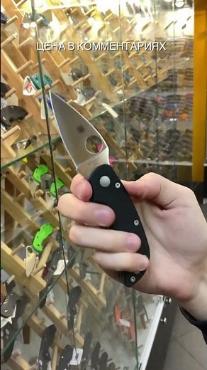 Spyderco Cat C129GP folding knife CTS-BD1 steel, G10 handle