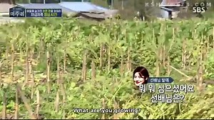 پارت اول برنامه Village Survival The Eight با حضور جنی از بلک پینک با زیرنویس فارسی آنلاین