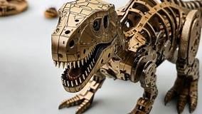 A Detailed Robotic Dinosaur Model Showcases Intricate Design Elements. this AI-generated Footage Captures the Beauty of Stock Video - Video of education, detailed: 385523047