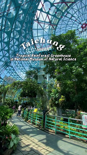 Exploring Tropical Rainforest at National Museum of Nature Science in Taichung