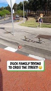This guy saved the day! ❤️ | Fluffy Animals