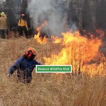 Ask the Village: What is a Prescribed Burn?