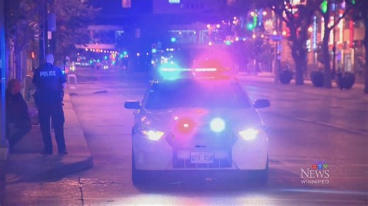 Winnipeg police e-ticketing program results
