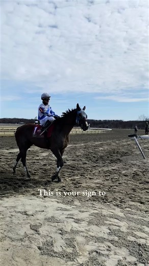 Signs You Need to Ride a Retired Racehorse